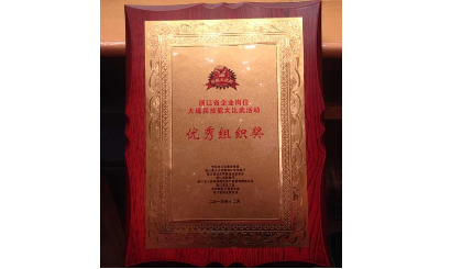 浙江省优秀高技能人才暨企业岗位大练兵技能大比武活动表彰大会召开，dg视讯精机载誉而归